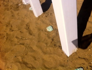 In the sand at the foot of the sign at Anne's playground are three shells with special messages for Murphy from her family.