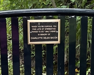 This memorial bench dedicated to Charlotte Helen Bacon can be found in a park in Newtown called The Pleasance.