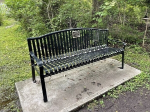 This memorial bench dedicated to Charlotte Helen Bacon can be found in a park in Newtown called The Pleasance.